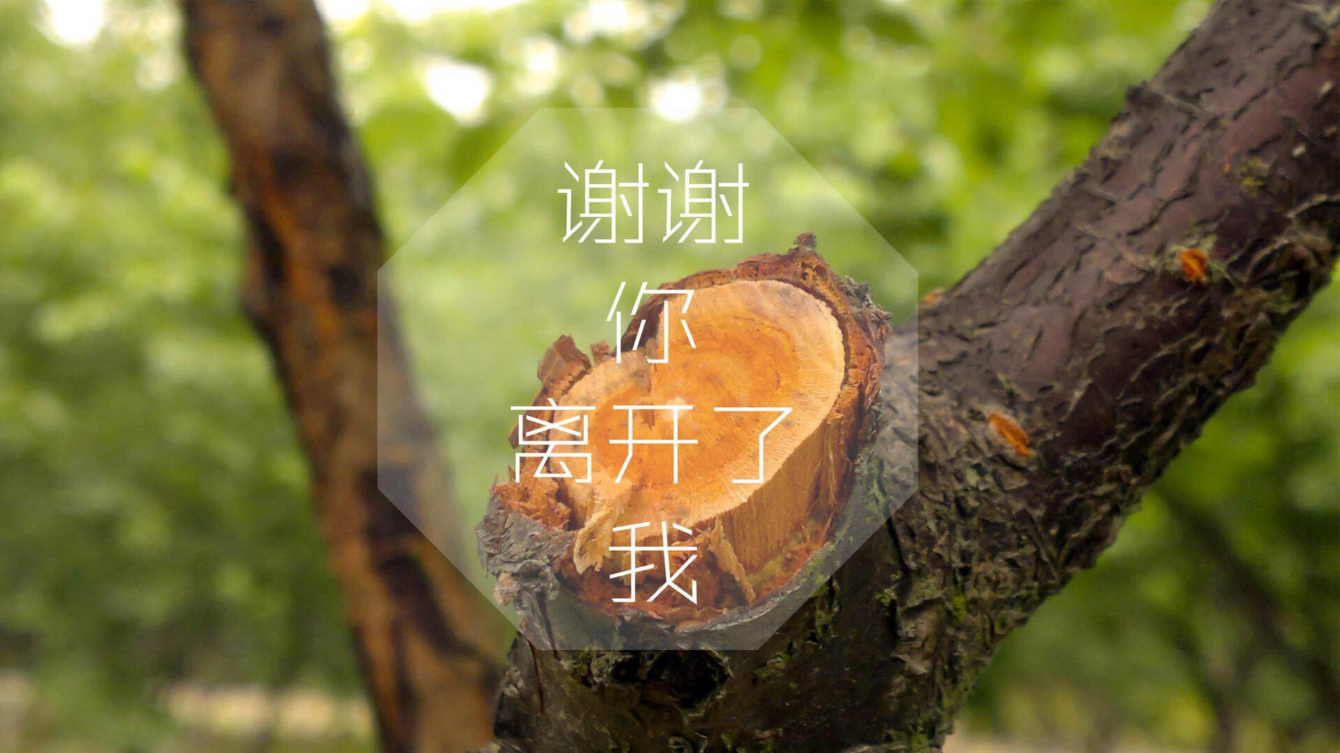 凡人英雄，法国队逆转波兰队之夜，王皓点燃赛场
