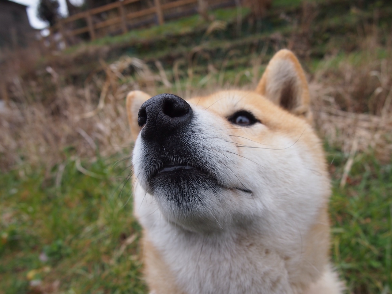 数据核爆！阿什拉夫全能统治赛场，罗马险胜毕尔巴鄂铸就争冠关键一胜