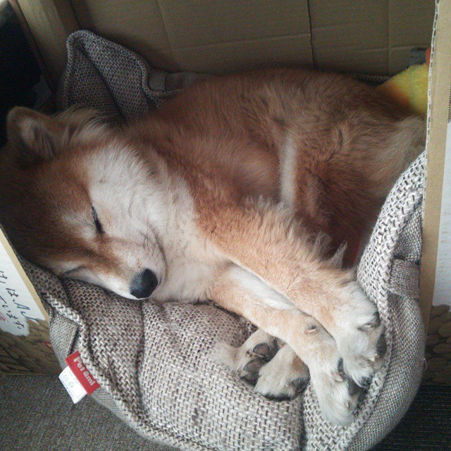 冰与火之歌，杰伦格林点燃吉林，北境铁骑难挡寒潮