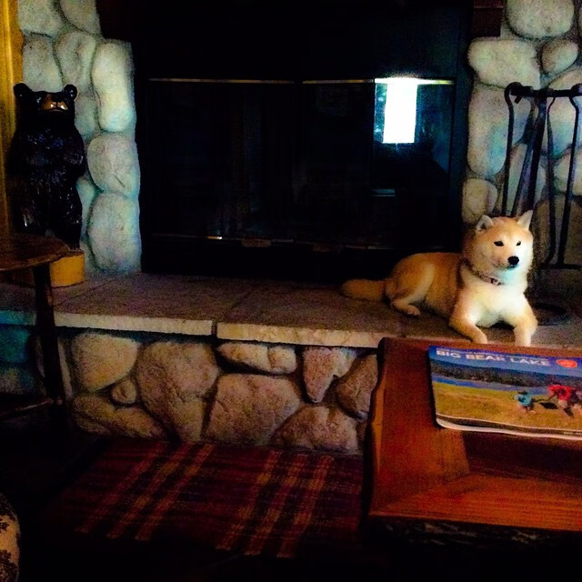 跨界接管,当罗马末节灵魂附体F1新赛道,两个佩德里共撰主宰剧本