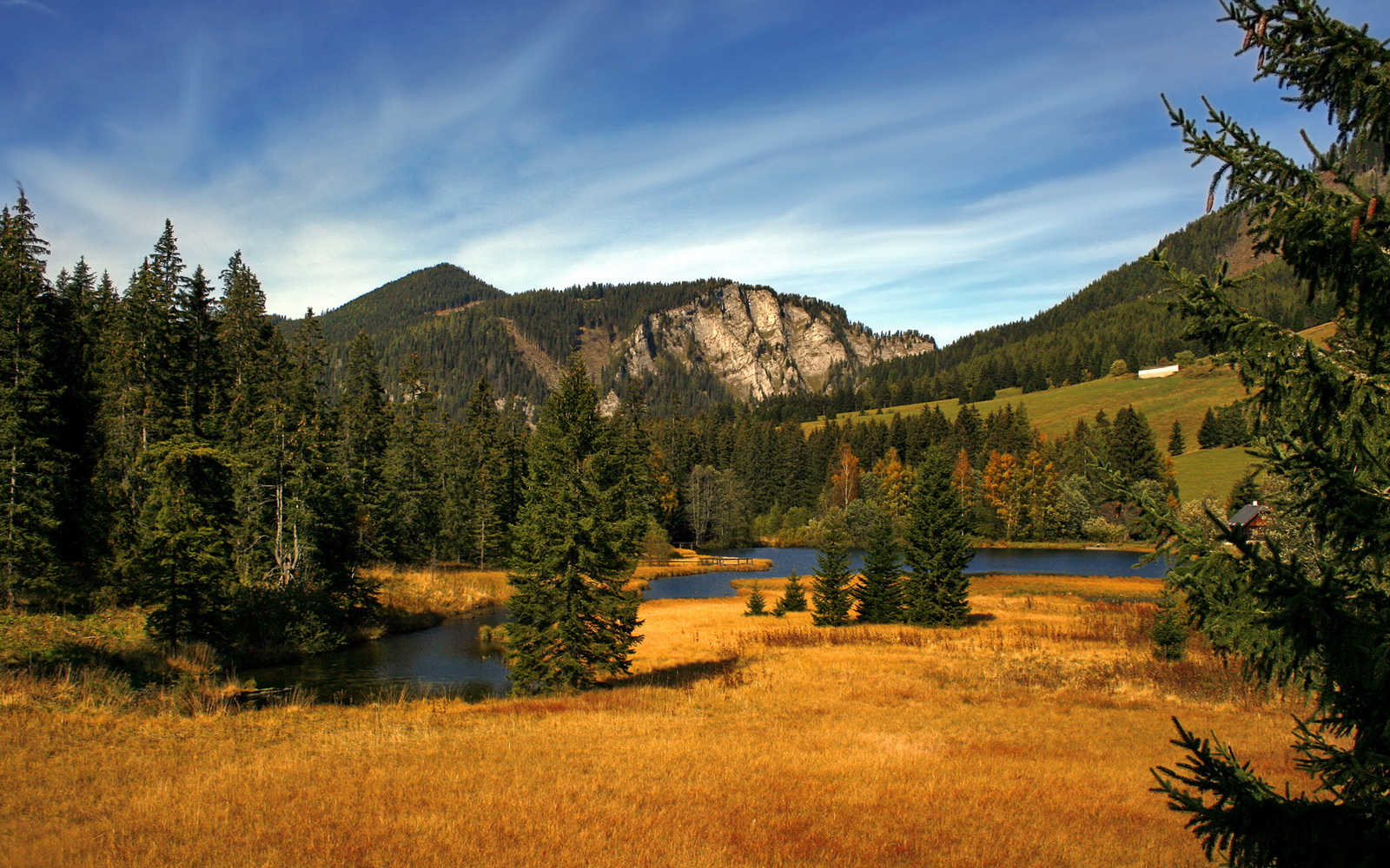 马丁内利独造三球闪耀全场,牙买加4-0完胜几内亚迎国际赛首胜