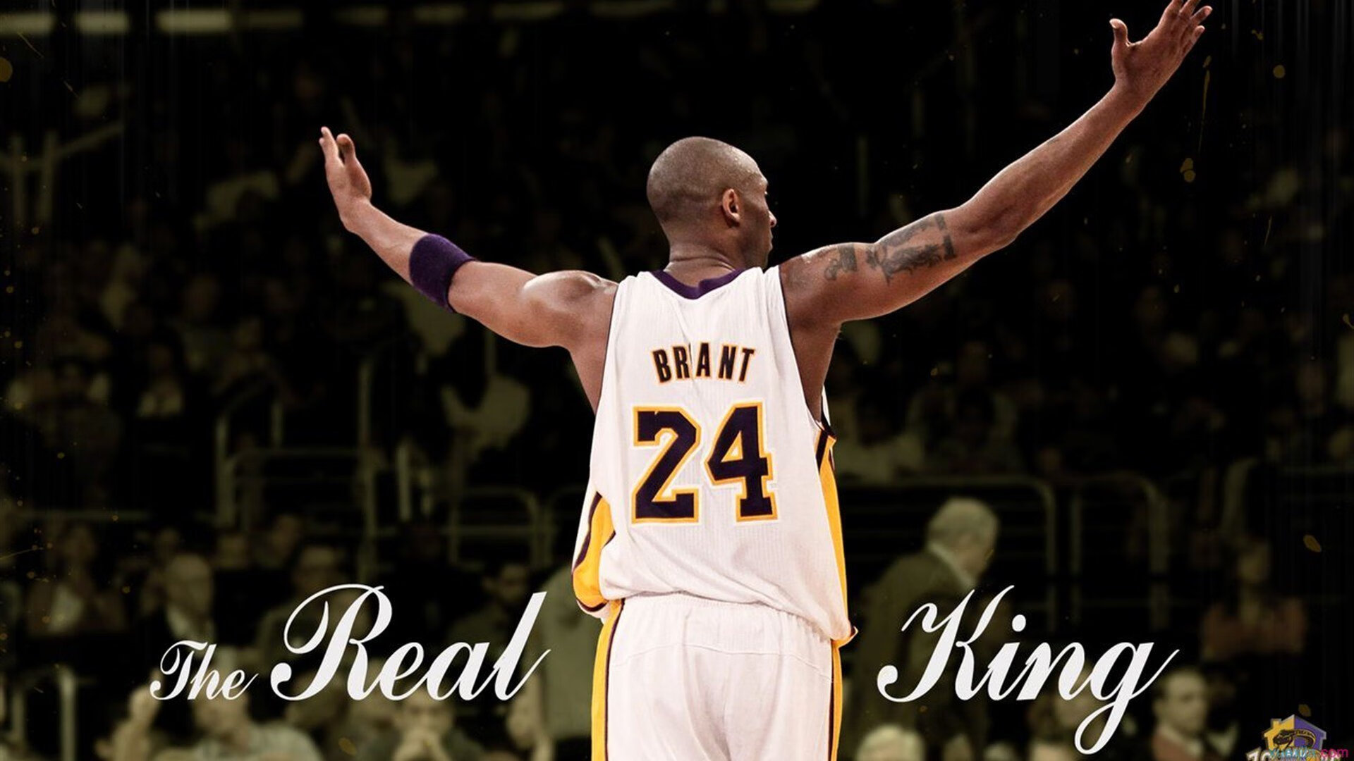 布克关键一击！篮网狂暴火力压制雄鹿，关键先生闪耀全场