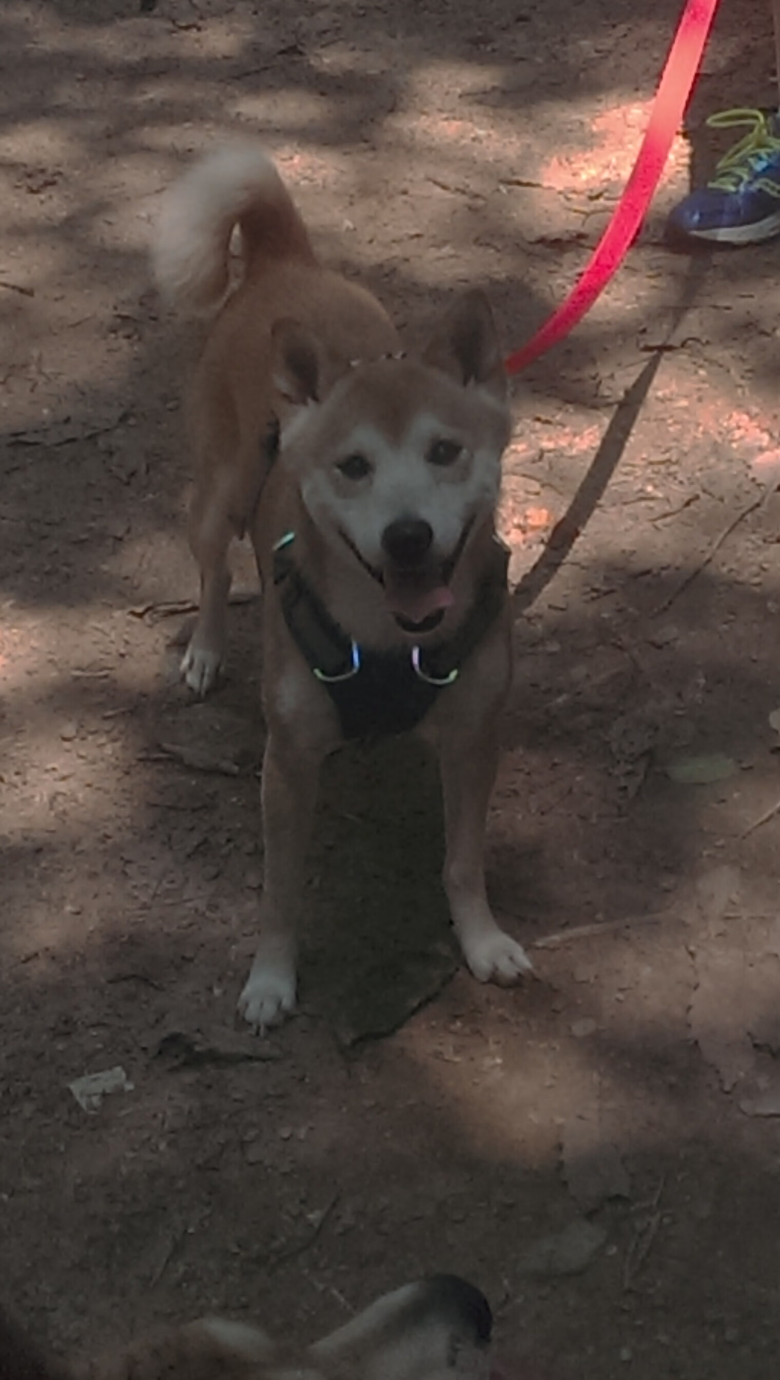 冰与火之歌，当关键乔治点燃寒地烽烟—记吉林队绝境雷霆一击