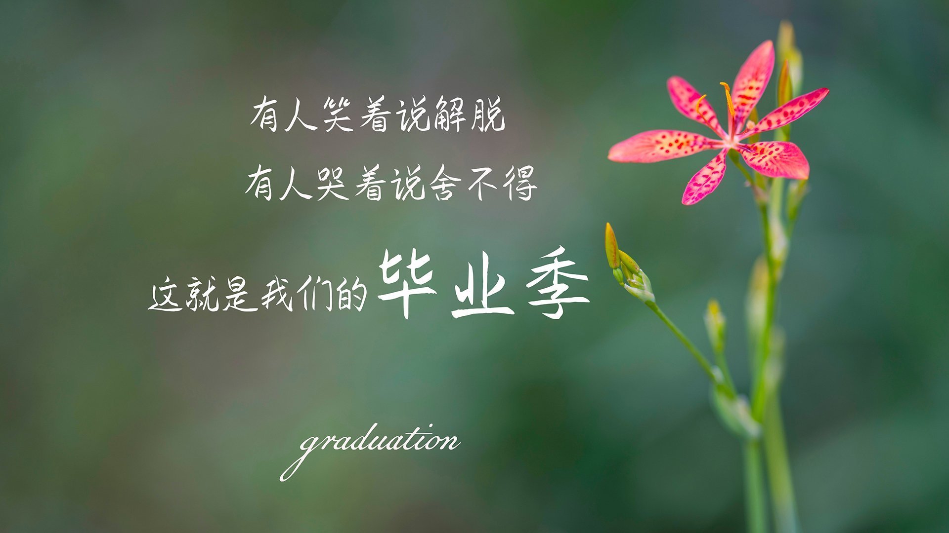 满分十分,我给十一分,爱德华兹与国王的极致答卷