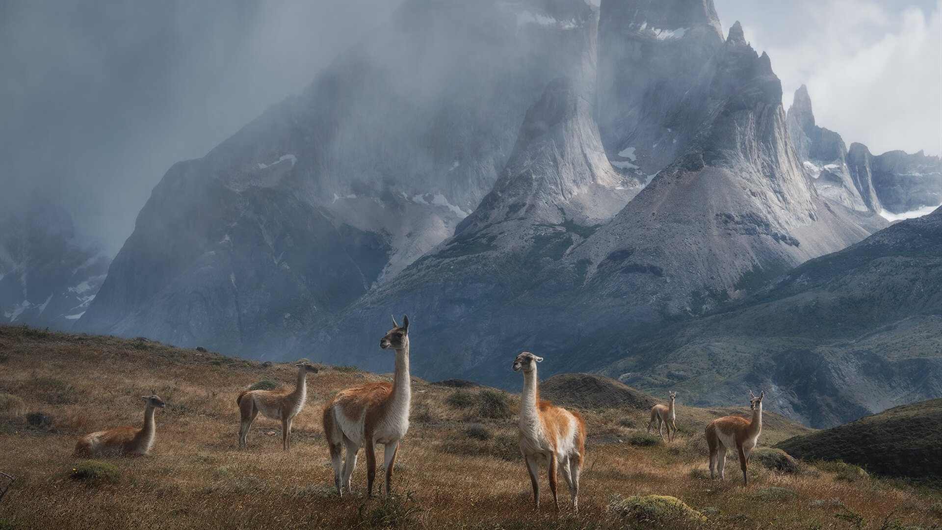 德罗赞数据引爆赛场，奇才节奏主导魔术