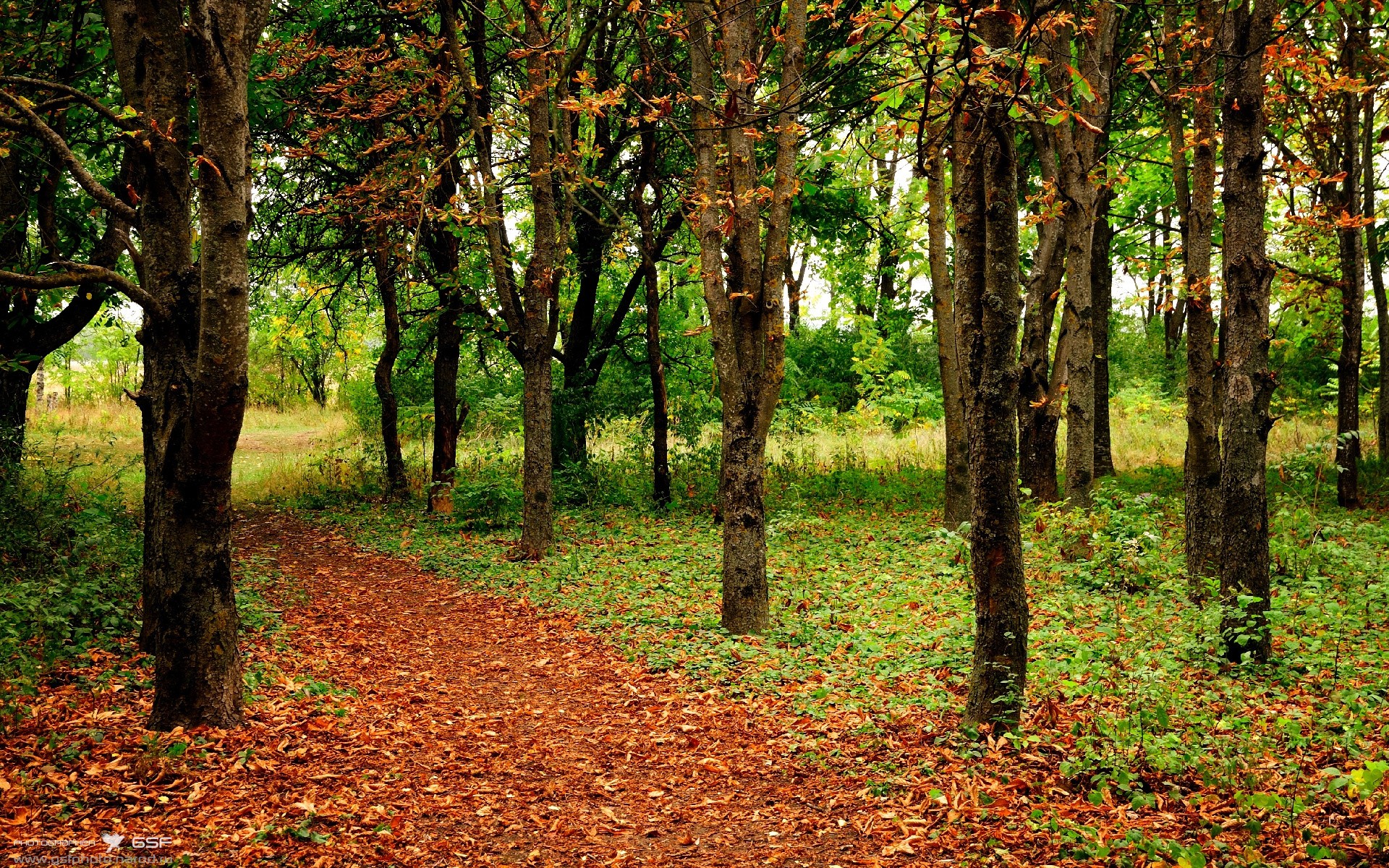 蔚蓝海岸的亚洲旋风，黄喜灿在摩纳哥的中立舞台征服澳大利亚