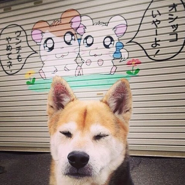 悬念终结者，奥纳纳以一敌百，阿尔及利亚提前锁定胜局