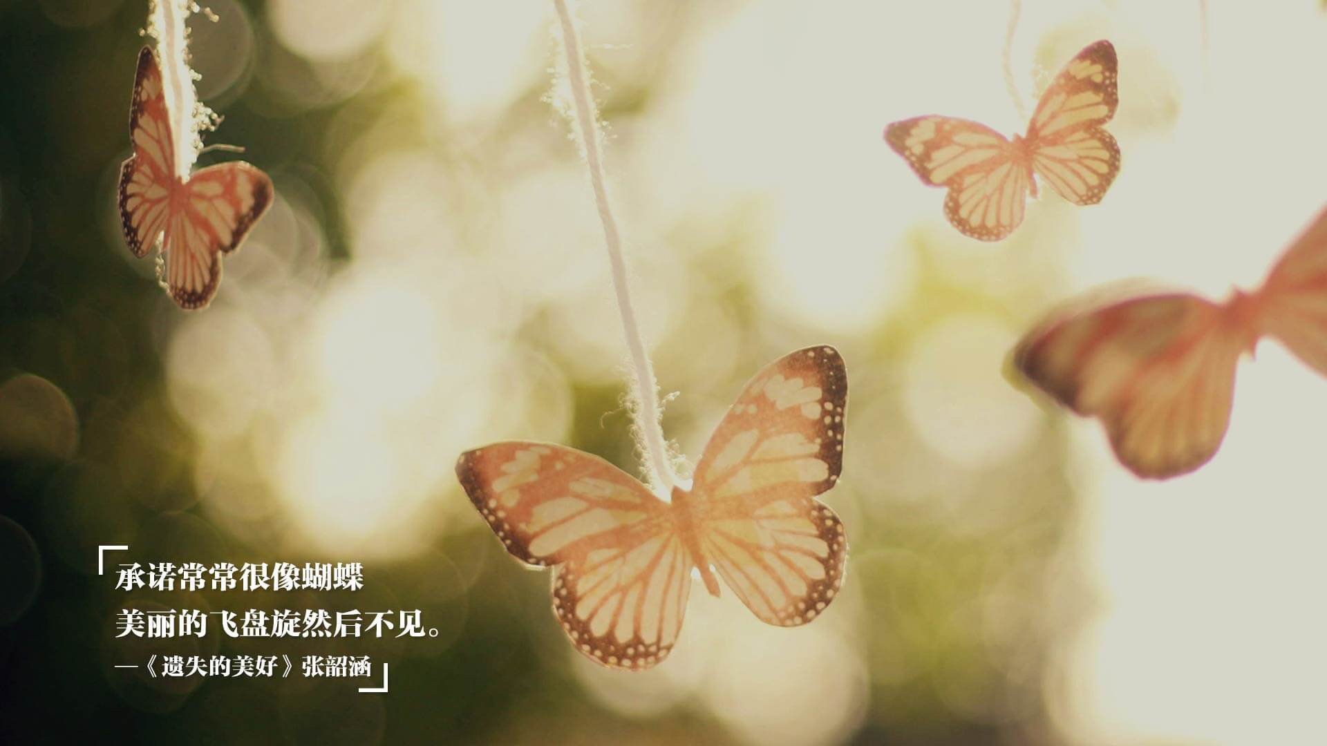 南美幽灵撕裂太极虎防线，一场被基耶萨化的委内瑞拉式胜利