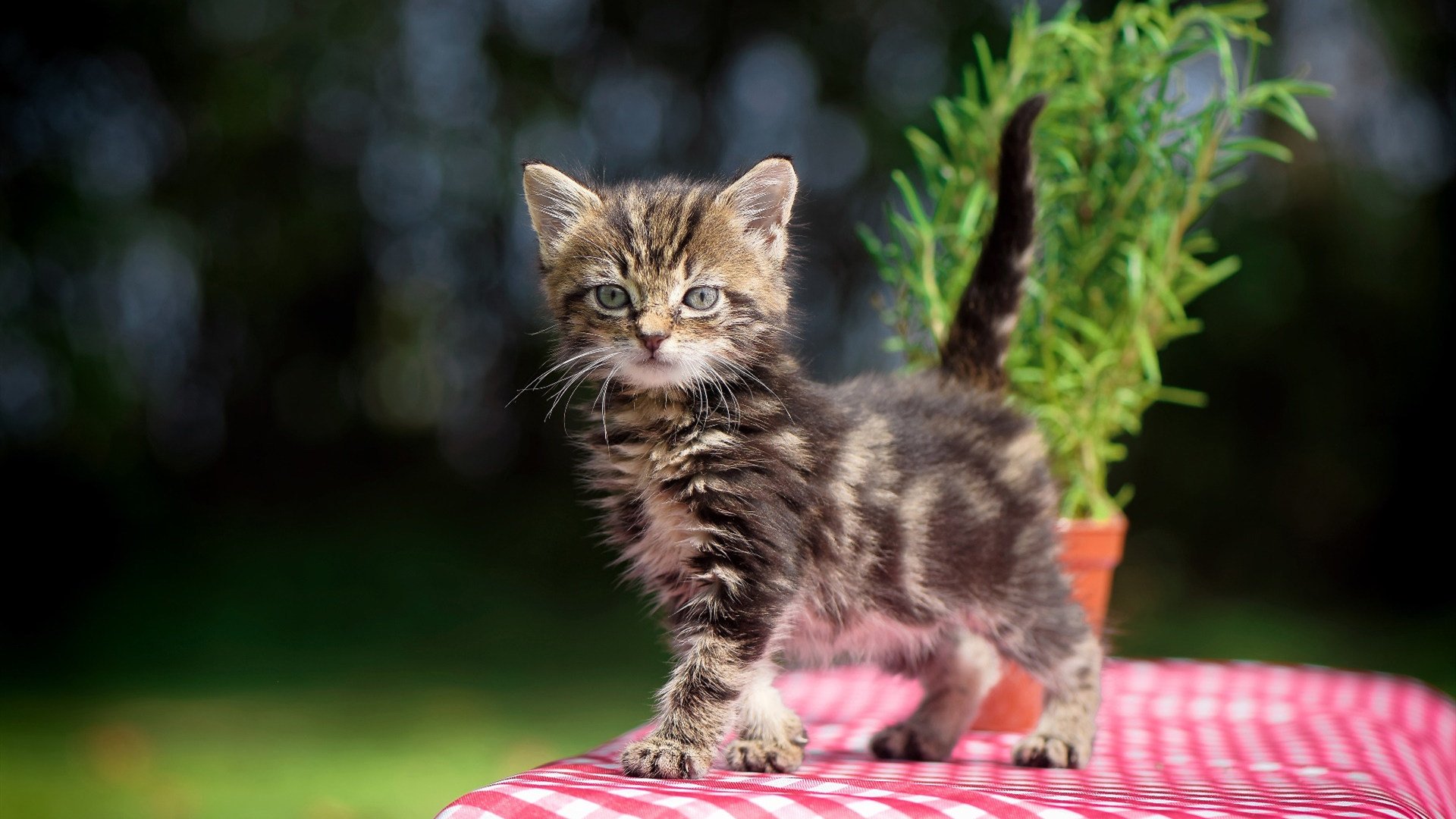 以下是根据这个灵感撰写的文章