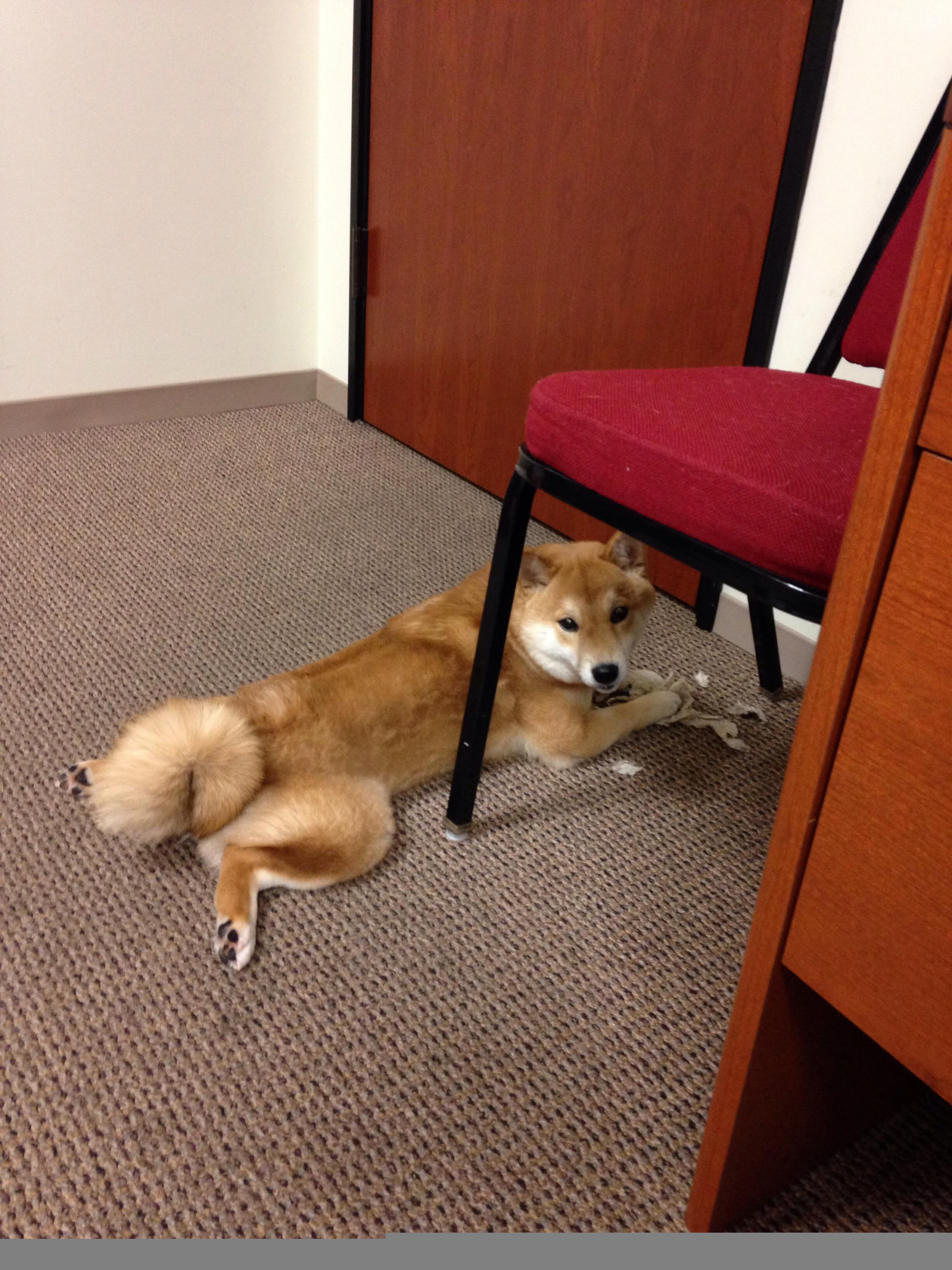 重逢,以对手之名,伦纳德如何为活塞上演防守教科书