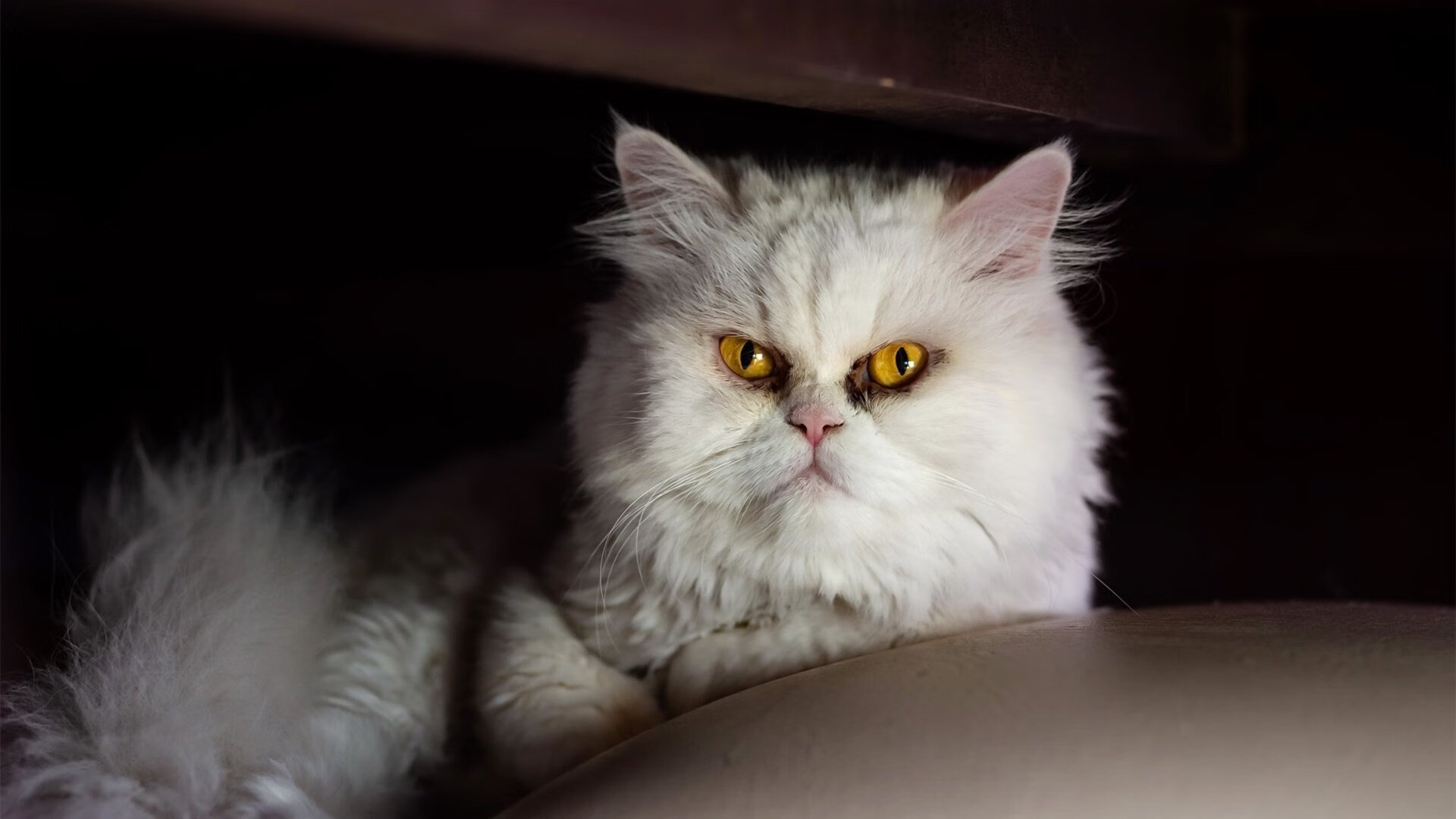 雷霆对阵勇士,西亚卡姆并非格林的影子,而是新型防守艺术家