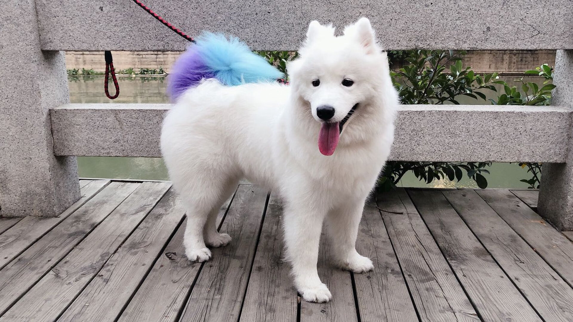 当精密齿轮卡壳时,京多安以孤星之芒刺破战术铁幕