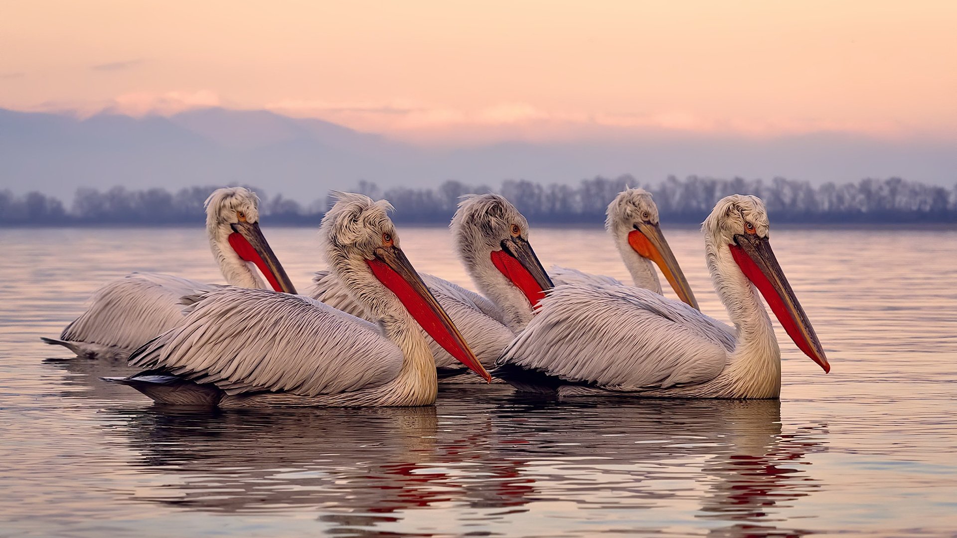 蓝月凌空，当个人天才碾碎北欧战术童话