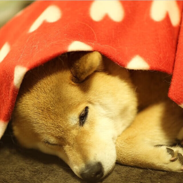 速度与激情的唯一性交响，F1街道赛焦点战与利物浦粉碎皇马的跨界共鸣