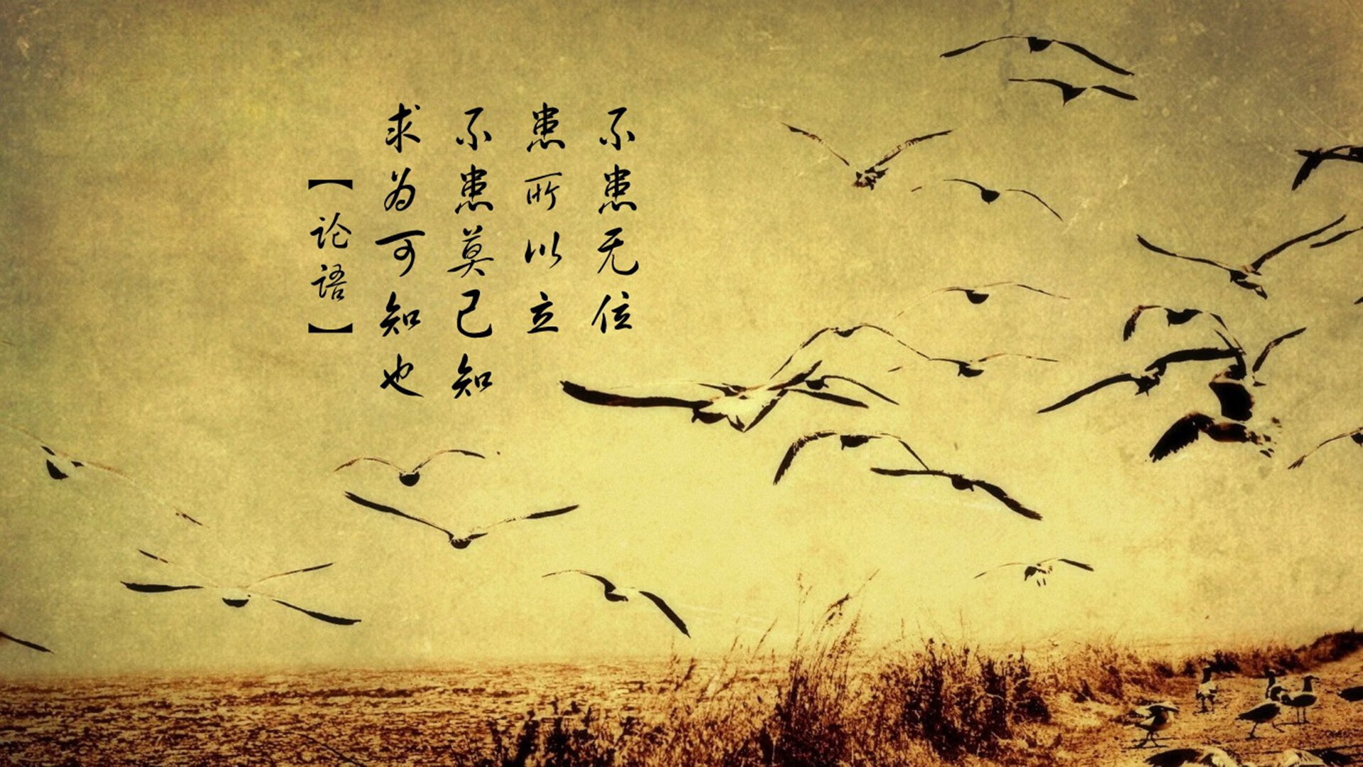 铁幕下的魔术师，2026世界杯B组焦点战，伊朗铁骑压制喀麦隆，莫德里奇演绎绝代指挥