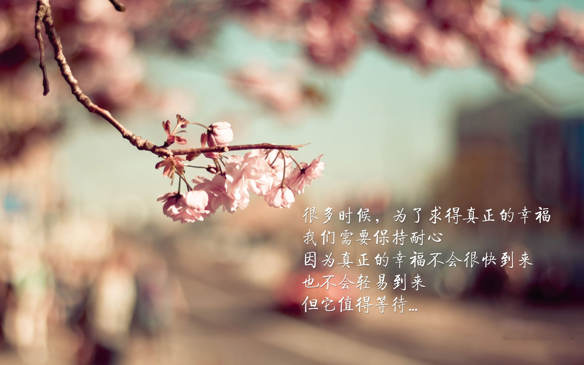 一剑封喉,2026世界杯D组焦点战,葡萄牙黄金风暴碾碎罗马尼亚,吉鲁上演橙色颠覆