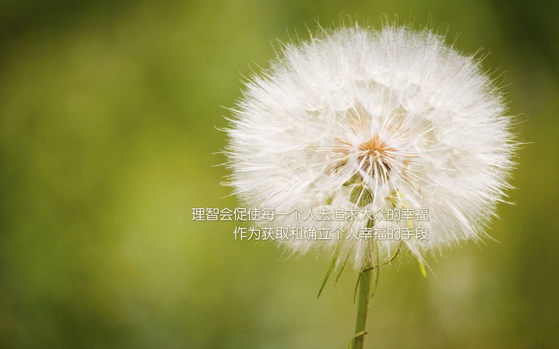 坎塞洛一剑封喉，伊拉克黑马逆袭！2026世界杯上演碾压级冷门，临场调整成胜负手